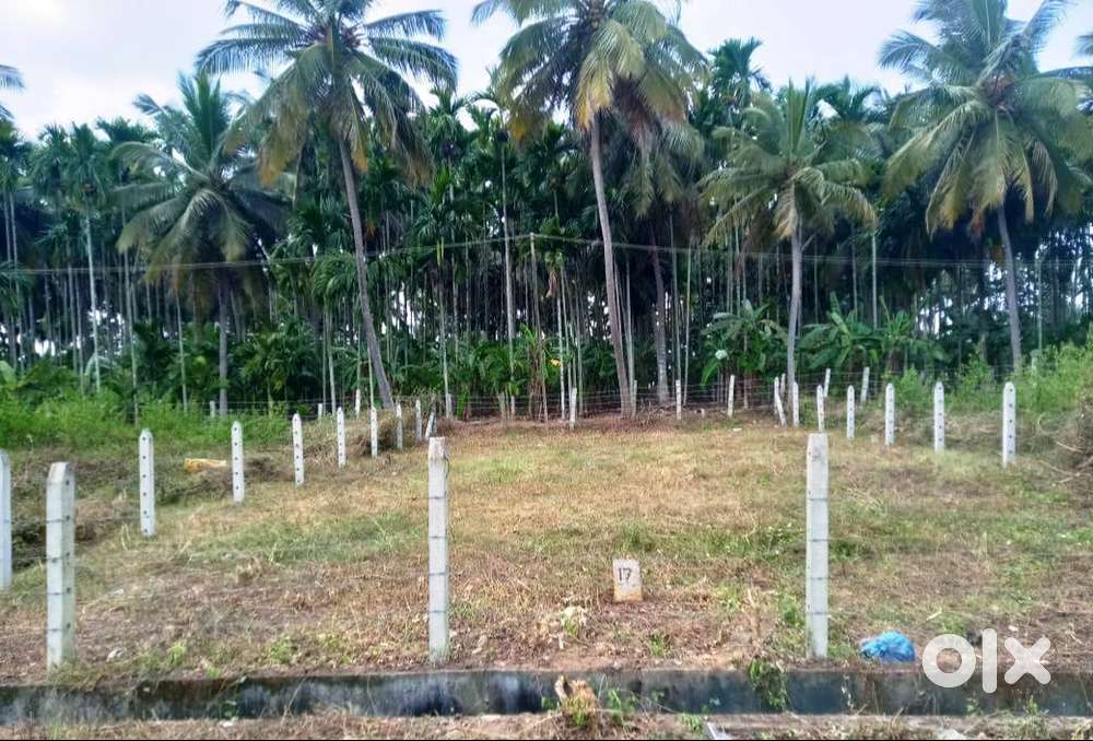 Site Number 17