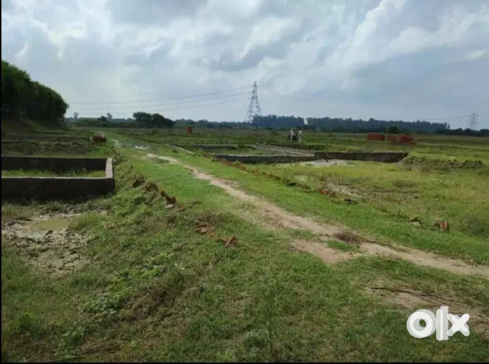 Free Hold Plot ( Greater Noida Mein ) ( NCR )