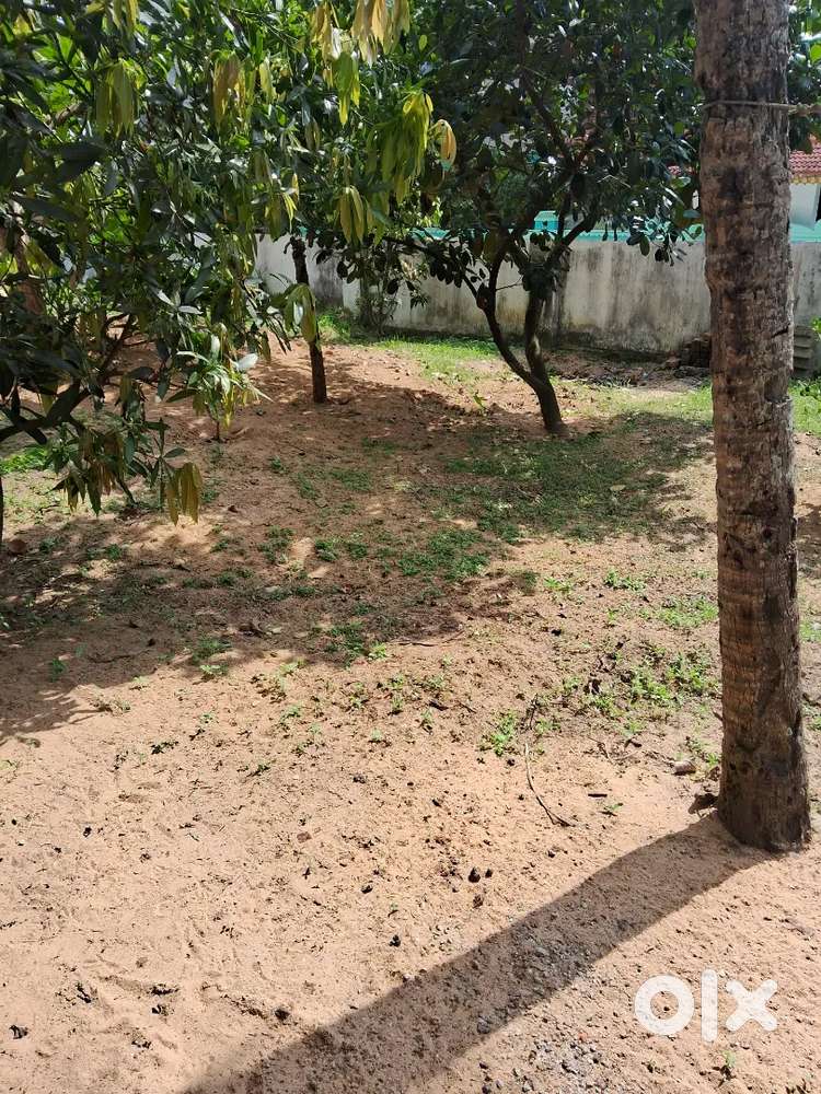 5 Cents Lorry Acess prime property in between muttada and Marapalam.