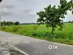 2 lakh kotha.4 Bigha land.village Rantholi.Nagaon District