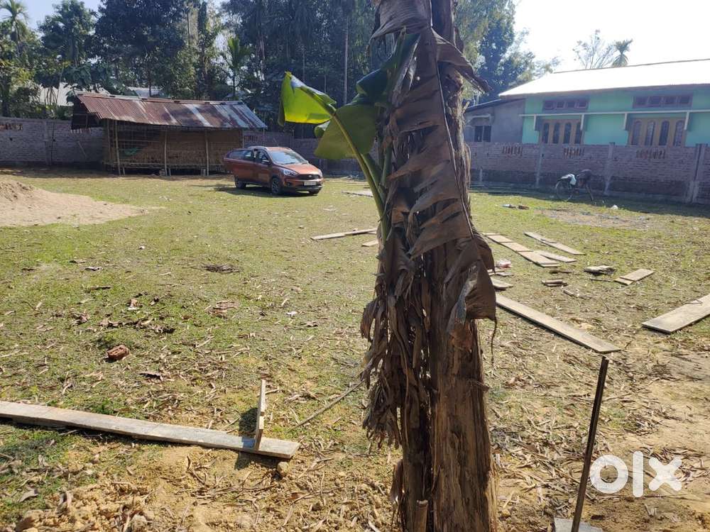Prime Residential Land for sale