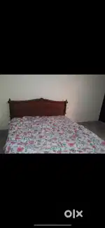 Sector 4 rohtak 1 bedroom set attach kitchen washroom almirah store