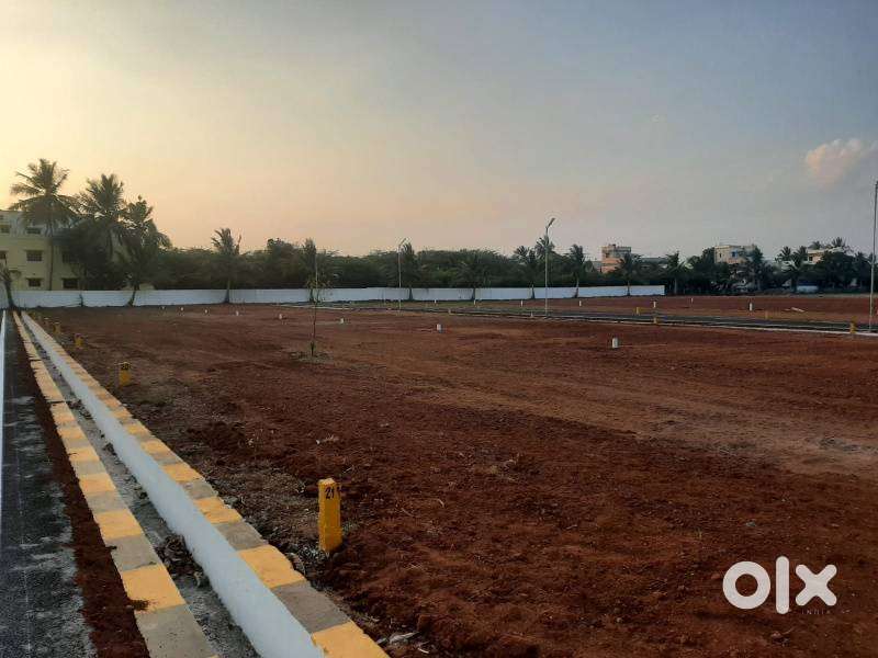 ''Your Dream Plot, BIAAPA Certified”