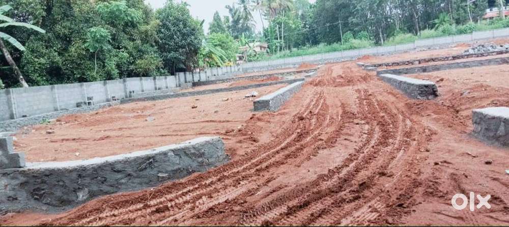 80 cent of property in Pallikkara, Kakkanad,