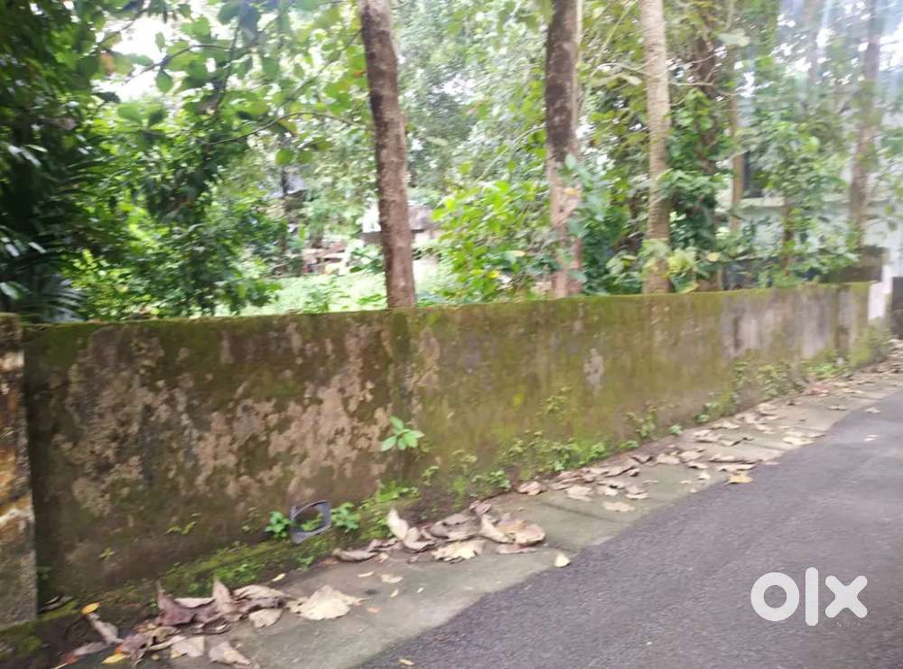 Main road 2nd plot Aluva kalady road desom purayar near Cochin airport