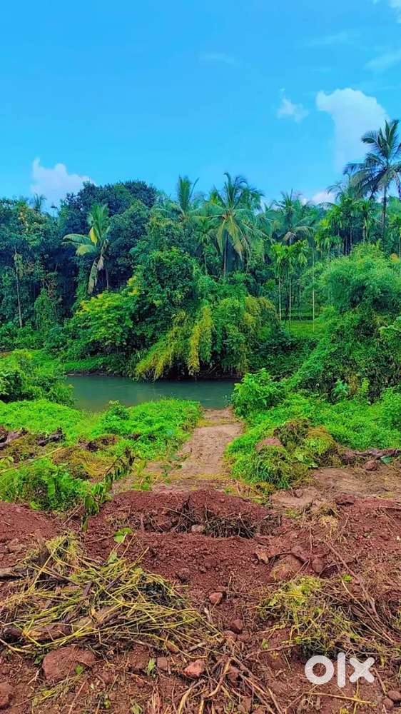 RIVER TOUCH PROPERTY AT DODAMARG SATELI, 3623 SQMTS, @₹1690/SQ MTS