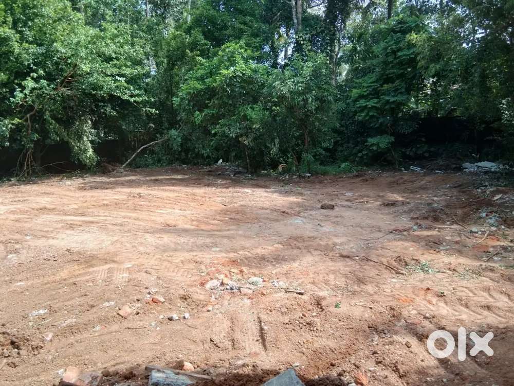 14 and 13 cent Plot for sale