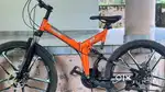 Phoenix foldable bicycle imported from china