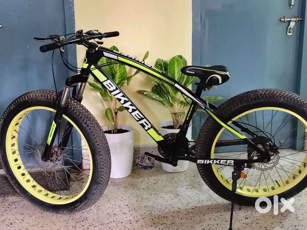 Biker fat bike