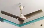 Ceiling Fan Sell.