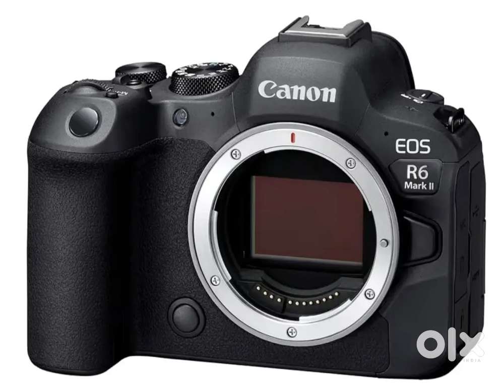 Canon R6 mark ii, Canon RF lens, Sigma, Sony, Nikon,Godox ,Camera