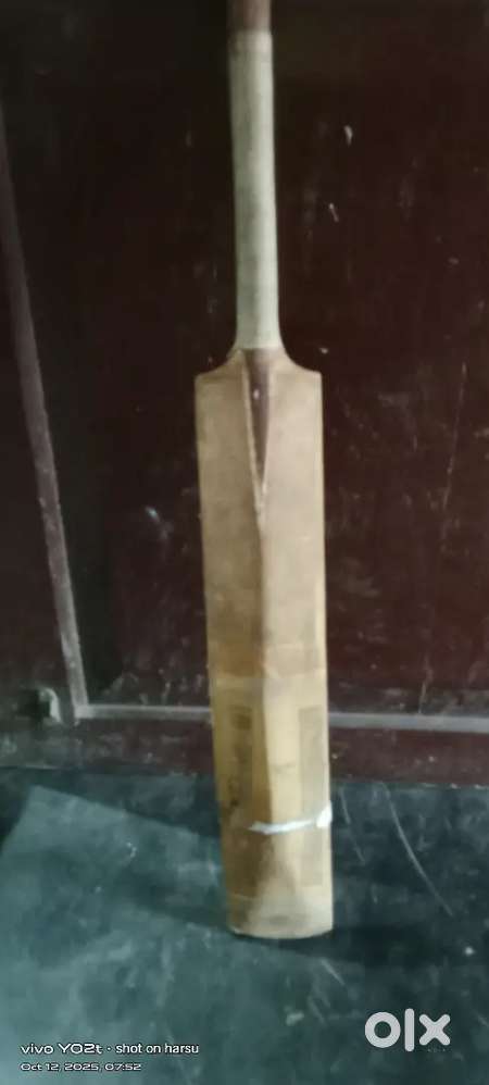 Cricket bat
