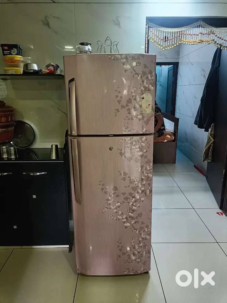 LG Refrigerator / Fridge