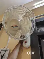 Wall mounted fan