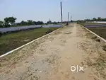 PLOTS HI PLOTS in Noida Extension