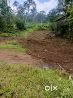LAND FOR SALE in Kunnamthanam, Thiruvlla