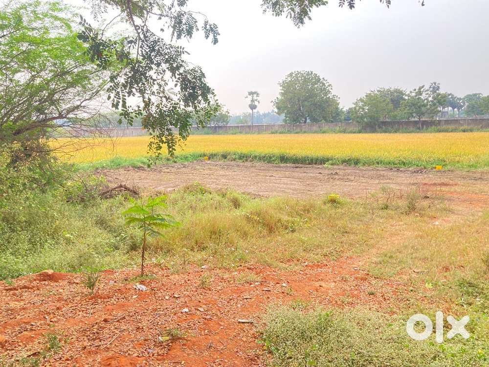 Land in Northrajupalem for sale