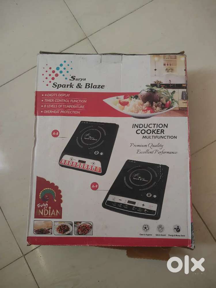 Surya induction heater