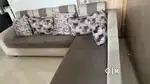 L Shape Sofa and Cushion