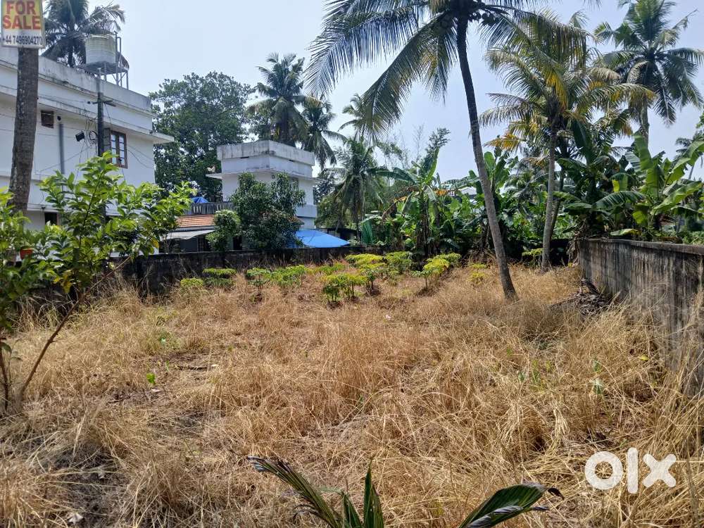 Road front Puthiyakave kandanad  plot sale