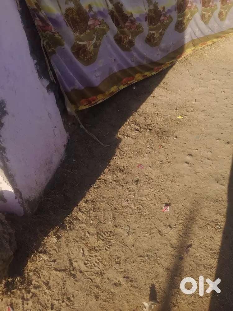 Security guard  ki job