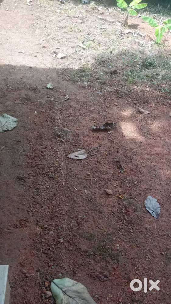 10 cent plot for Rent / Sale with good road facility