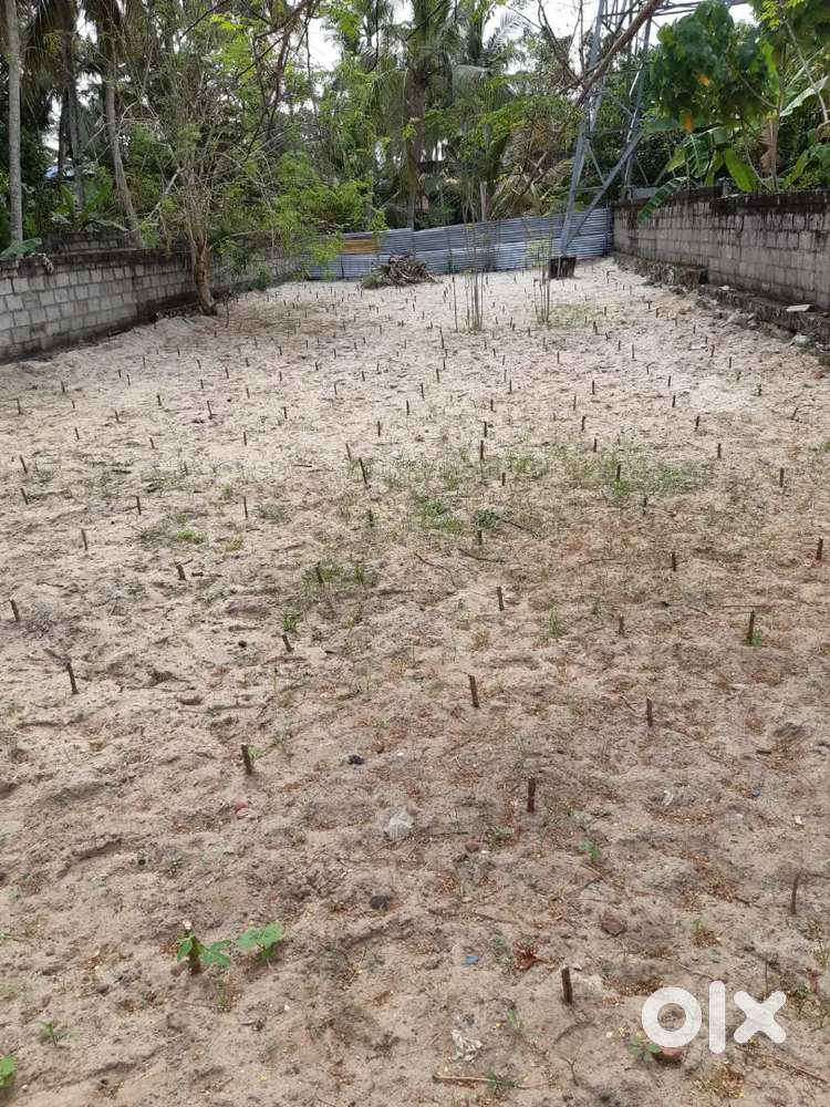 6.5 cent of lorry plot