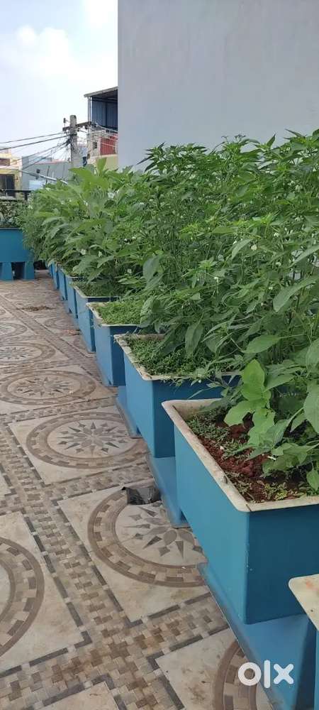 House maid full time താമസിച്ച് വീട്ടിലെ ജോലികൾ ചെയ്യാൻ