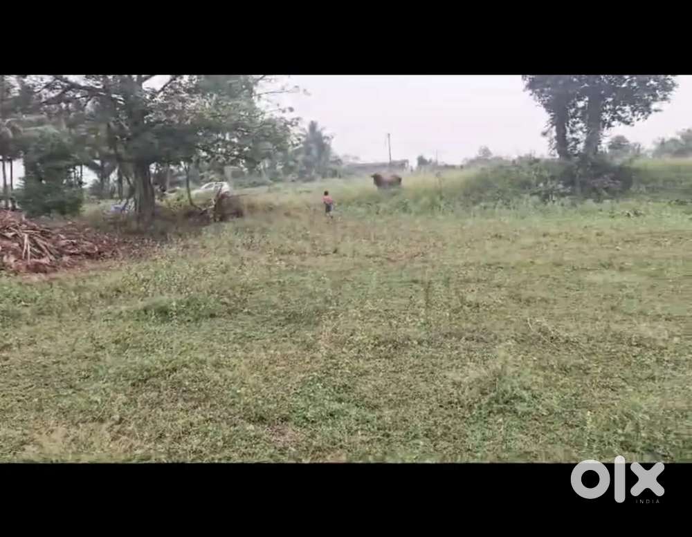 Land for Farm House at Sokkanur, Kinathukadavu, CBE at Low Price