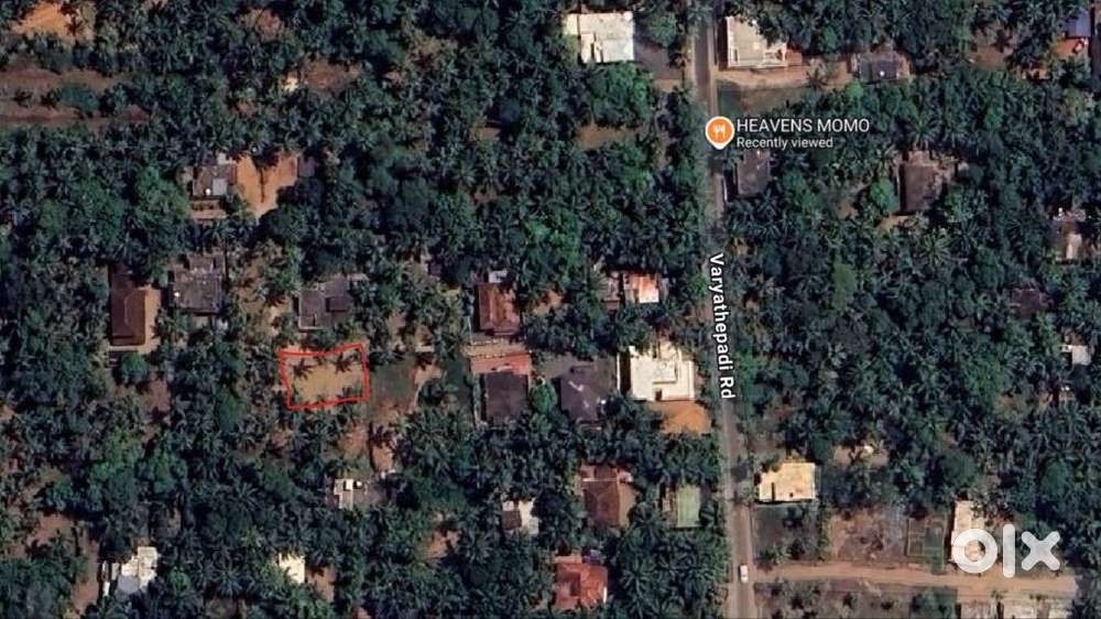 25.5 cent plot near kollanpadi, ponnani. (varythepadi rd) 64 lakh rs