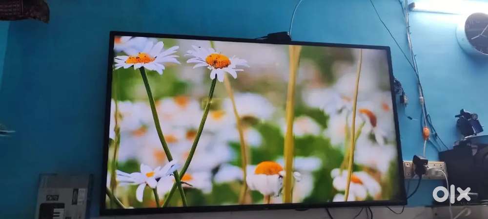 Noble 55 inch LED TV  non smart good condition with Wall mount