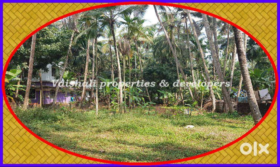 10 cents Residential Plot for sale in near Perigolam- Mundakkal Road