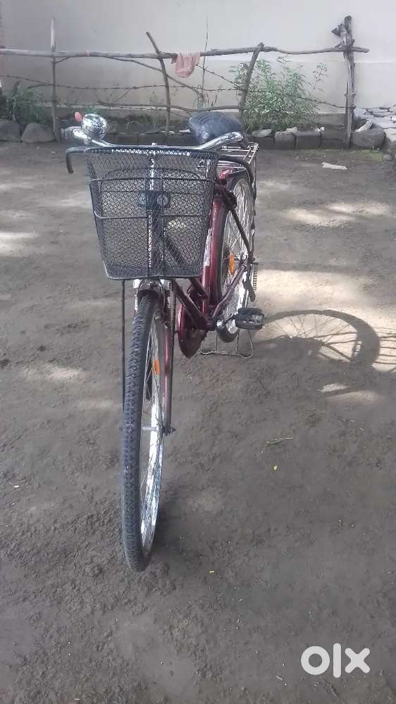 Panther Bicycle