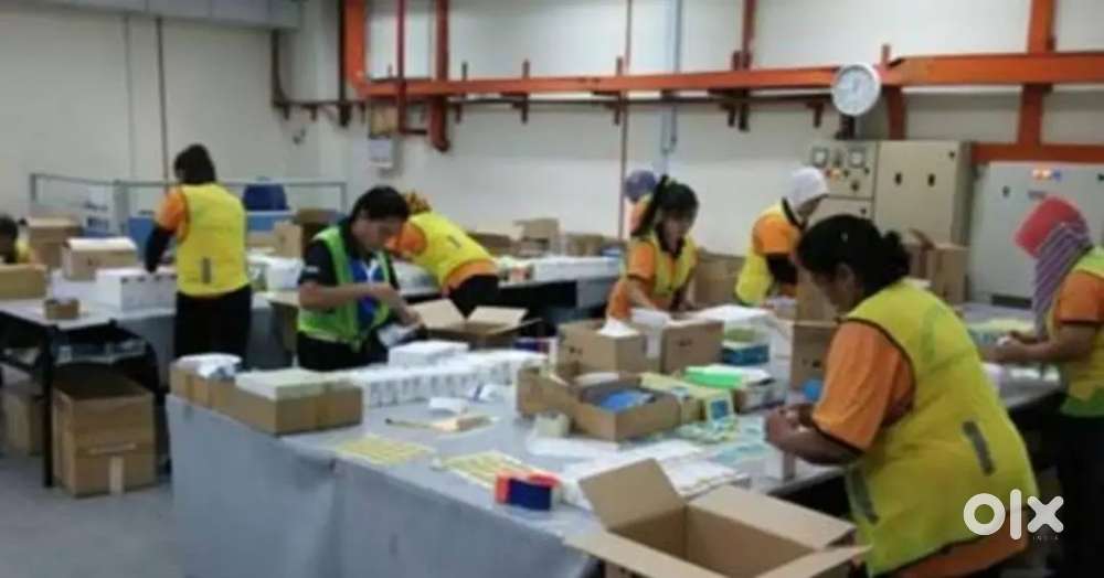 PACKING JOB AND HELPERS JOB OPENING