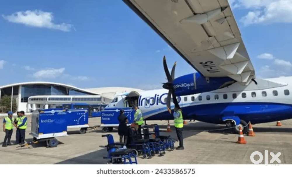 Indigo Airlines jobs Vacancy for Airport Ground staf/Driver/Cabin Crew