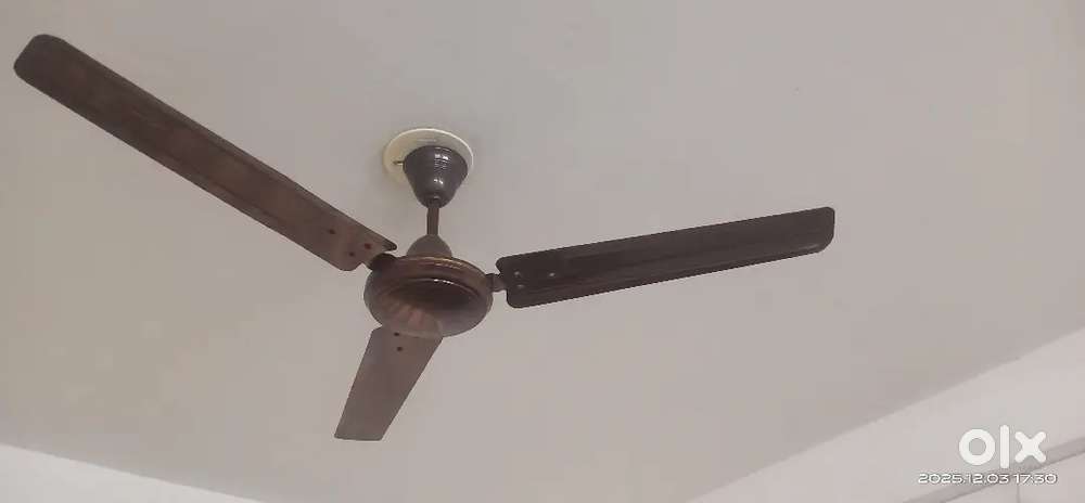 Ceiling fan