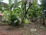 10 Cent Plot For Sale in Kottekkad, Thrissur, Kerala Pin : 680013