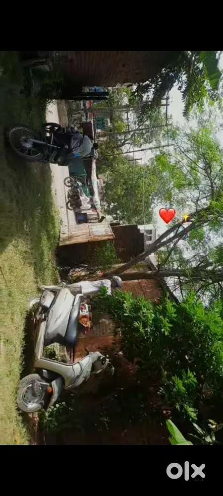 Hotel ke liye ldka chahiye machli mandi mai