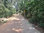 11 cent house plot for sale in kanjoor,near airport,aluva,angamaly
