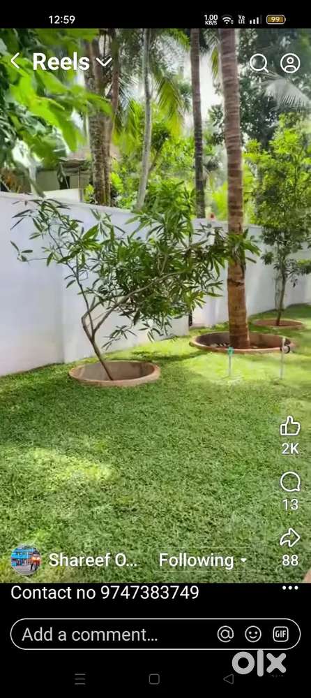 ക്ലീനിങ്ങ് സ്റ്റാഫ്   Lady