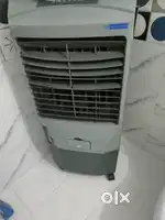 Blue star cooler and ceiling fan