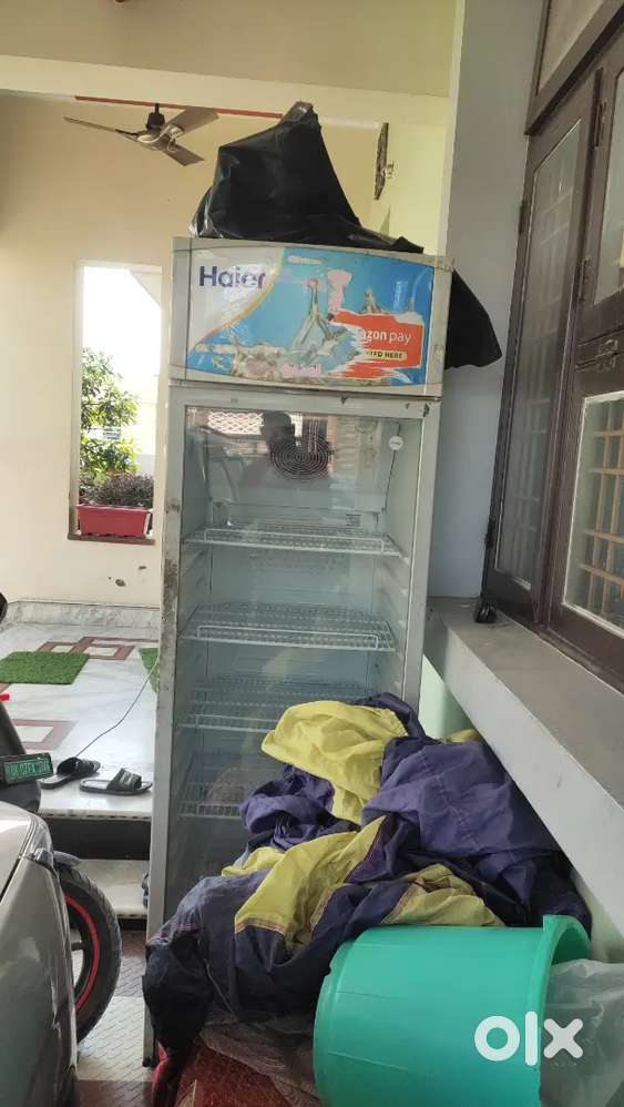Shop ka freeze