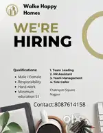 Job For Freshers