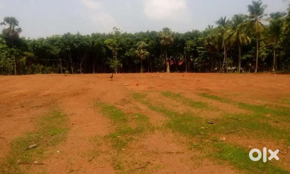 Land for Sale – Kongad Panchayath, Palakkad District