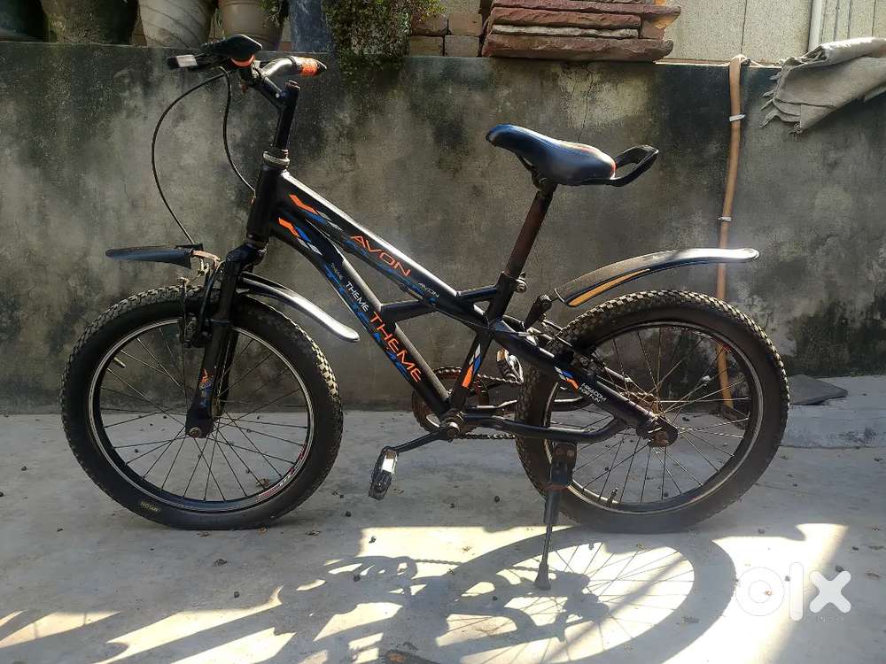 Avon Theme Bicycle for Sale