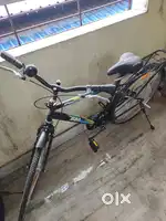 Best cycle