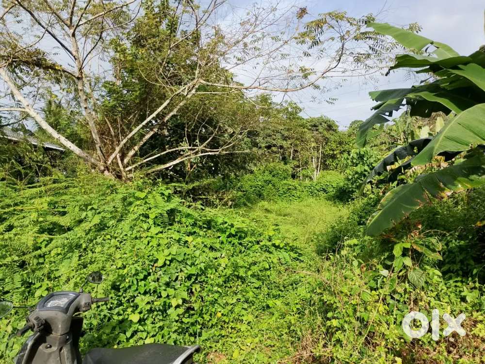 10 cent land for sale at ayarkunnam kottayam