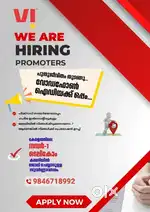 Sales Executive