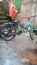 Wolf gamer