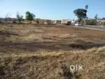 Nashik peth highway road front plot rent